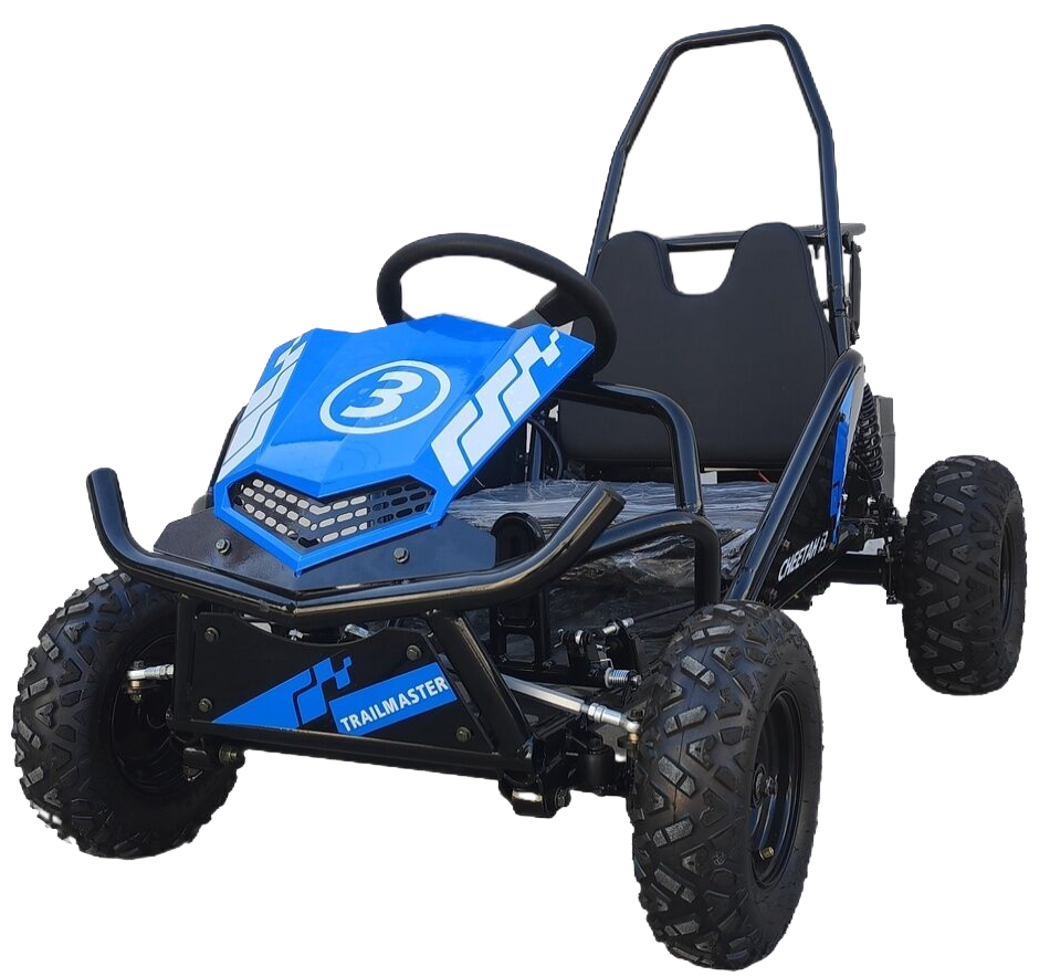 TrailMaster Cheetah 3 Kids Mini Go Kart, 80cc gas engine, seat belt, Kids Ages 4-9